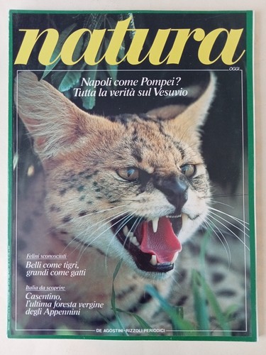 Natura oggi 1991 - natura, n.