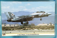 Hasegawa f-14B TOMCAT 'VF-102