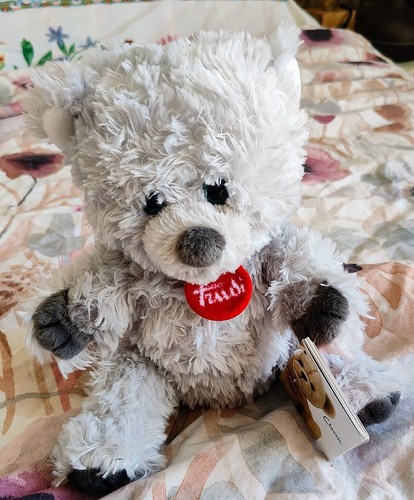 Trudi 26581 - trudi,