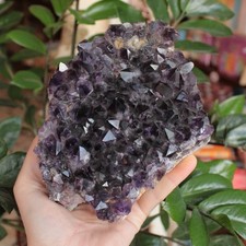 Drusa AMETISTA Lavorata Geode