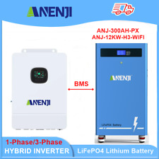 Batteria 51,2V 15KWh 300Ah LiFePO4 accumulo energia + inverter solare ibrido 12KW 48V