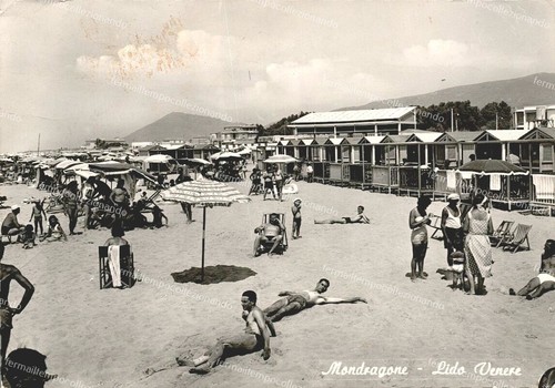 Do459 cartolina - do459,