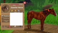 IUH - Quarto di Cavallo -