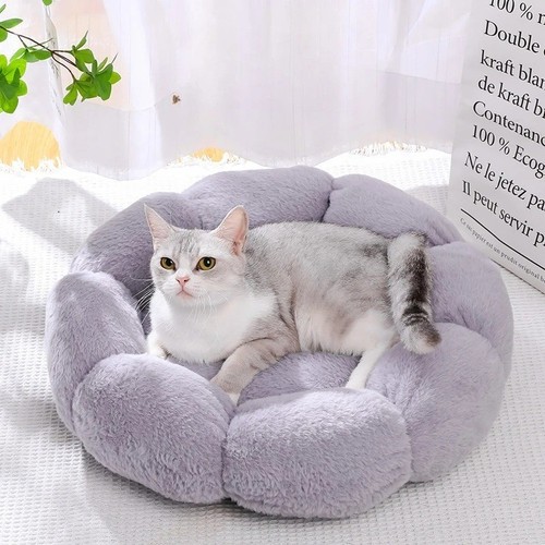 Cuccia cane gatto - cane,