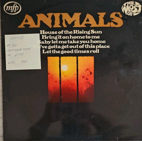 Animals the most - animals,