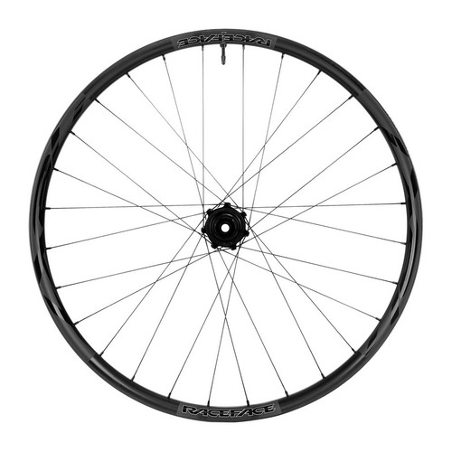 Ruota posteriore carbonio - posteriore, 29