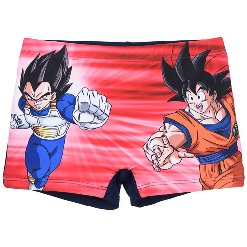 Costume mare dragon - ball, super