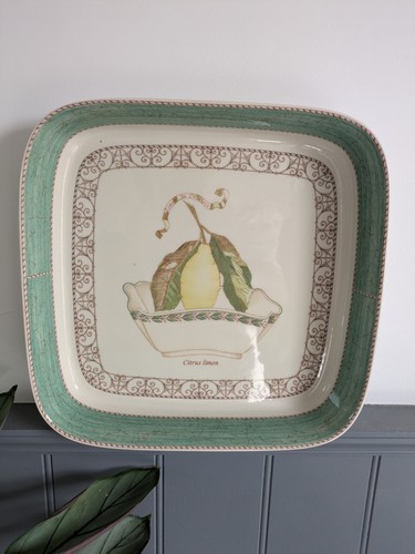 Servizio piatti forno - piatti, da