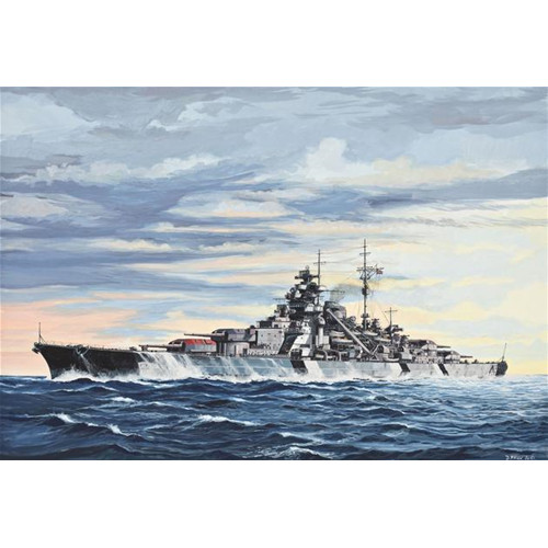 Nave bismarck kit - 1:700, revell