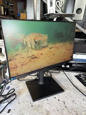 Samsung 24" Monitor