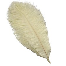 Piume di struzzo Sowder 10
