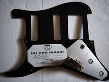 Lace Fender pearled Battipenna