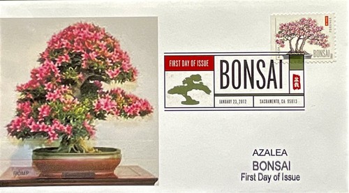Romp cachets 4622 - 4622, bonsai