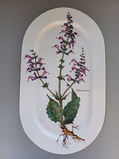 🌿Villeroy & Boch Botanica