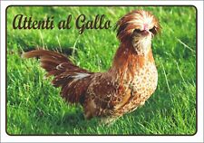 RAZZA POLLO PADOVANA TARGA ATTENTI AL GALLO RESISTENTE ROBUSTA HPL PER ESTERNO