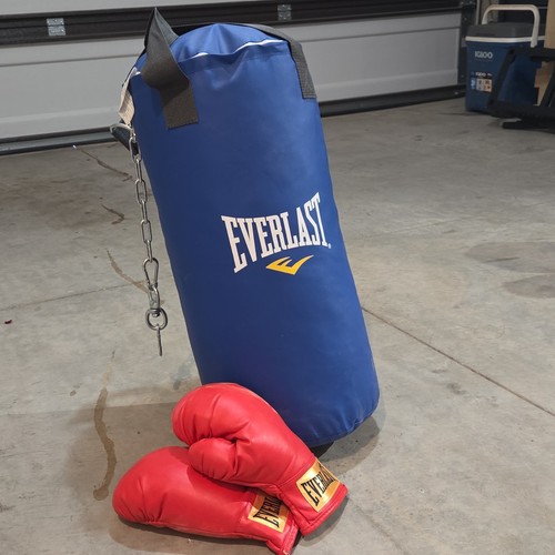 Everlast blu 25lb sacco - blu,