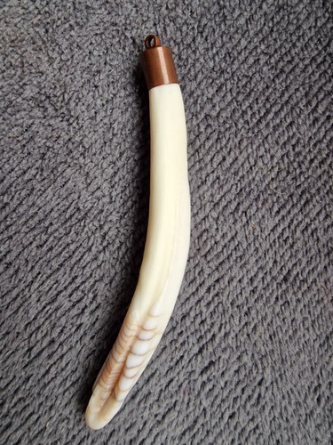 Autentico ciondolo dente - autentico,