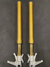 Forcella Ohlins Ducati 1198