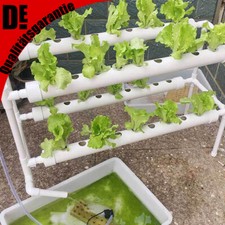 Piante hydroponic grow - hydroponic,