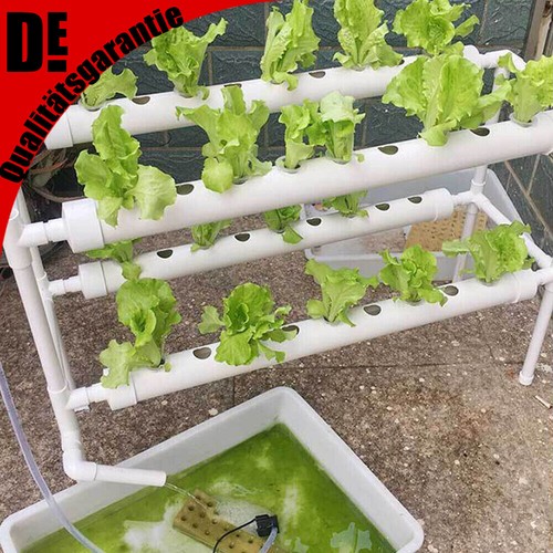 Piante hydroponic grow - 36,