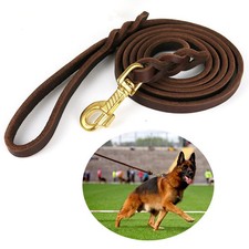 Guinzaglio Per Cani In Vera