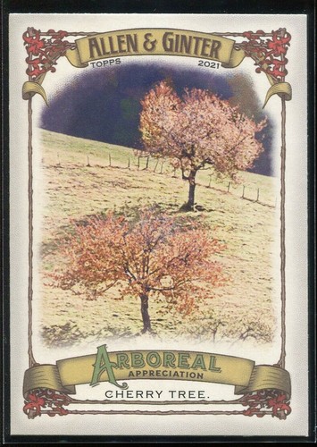 2021 topps allen ginter - &,