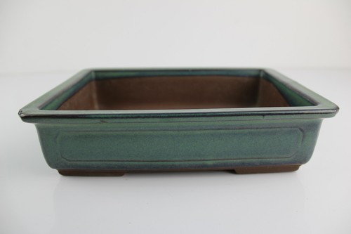 Vaso bonsai japan giapponese - vaso,