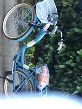 Telnobike Belle Epoque 100