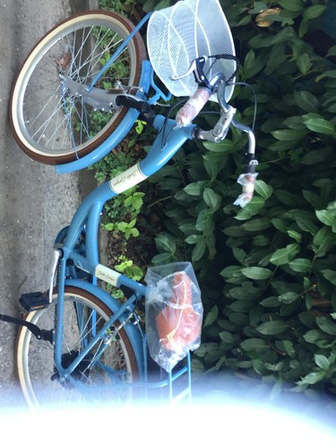 Telnobike belle epoque 100 - telnobike,