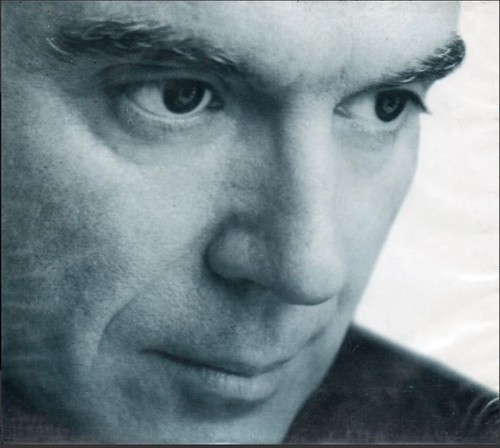 David byrne grown - david, backwards