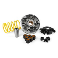 MF4890 Variatore Malossi