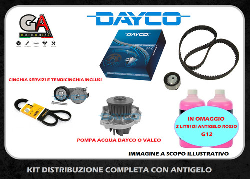 Kit distribuzione pompa - distribuzione,