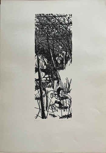 Gianfranco schialvino - gianfranco,