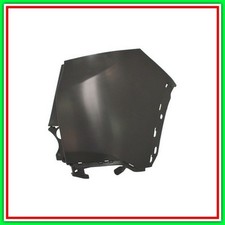 Cantonale Destro Paraurti