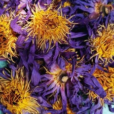 50g di Fiori di Loto Blu