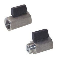 Acciaio Inox Mini Valvole a