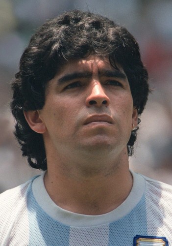 Poster ritratto diego - poster, maradona