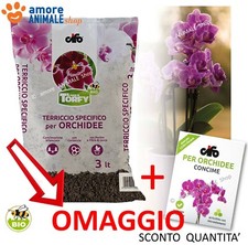 Cifo Torfy TERRICCIO Specifico