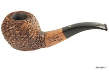 Pipa Viprati rusticata