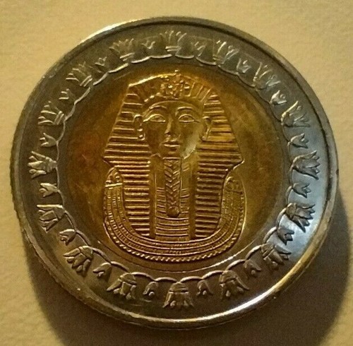 Moneta sterlina egiziana - moneta,
