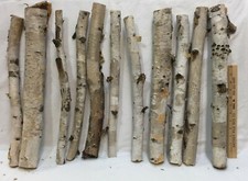 Accogliente Pacchetto di 11