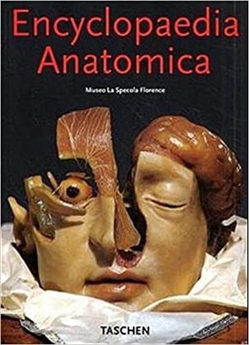 Encyclopedia anatomica museo - encyclopedia, anatomica: