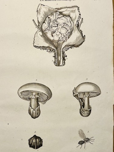Tavolo antico rame - rame, 1834