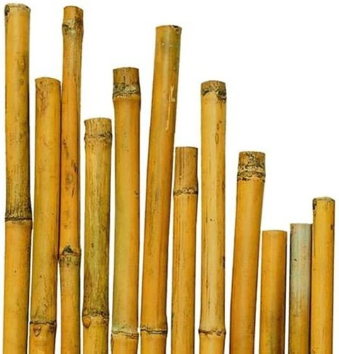 Canne bamboo naturale - naturale, orto