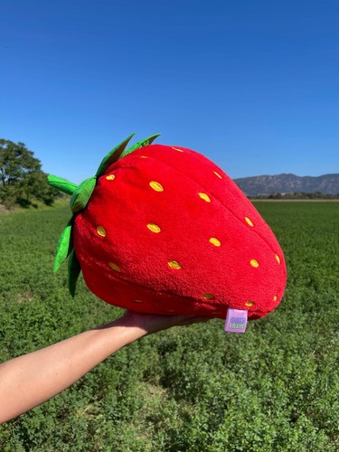 Cojín fresa gigante hecho - cojín, a