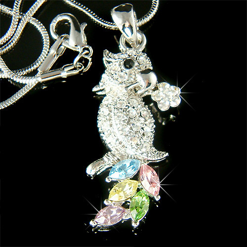 Arcobaleno pappagallo fatto - pappagallo,
