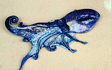 l'amico polipo intelligente