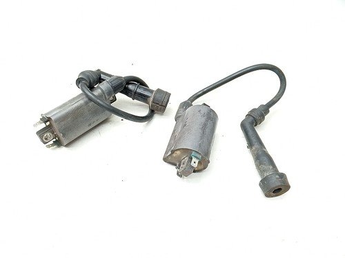 Coppia bobine accensione - coppia,