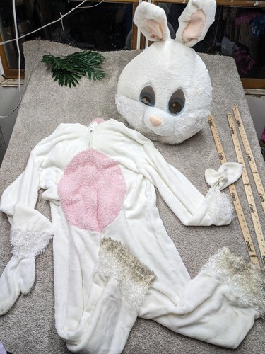 Costume coniglietto pasquale