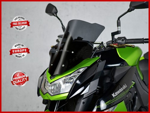 Kawasaki 1000 2010 2013 - kawasaki, 2010-2013